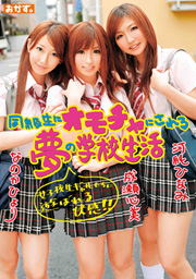 School Life Of A Dream To Be A Toy To Classmate KOKOMI KASUMI, HINAMI KASUMI, HIYORI NANOKA