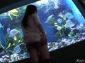 Video captures