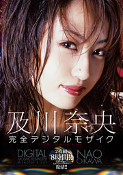 及川奈央　完全デジタルモザイク リマスター...