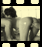 p04