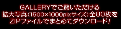 GALLERYでご覧いただける拡大写真（1500×1000pixサイズ）全80枚をZIPファイルでまとめてダウンロード！E