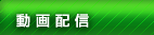 動画配信