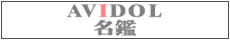 AV IDOL