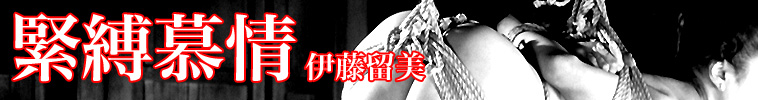 緊縛慕情 伊藤留美