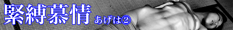 緊縛慕情 あげは(2)