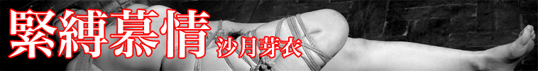 緊縛慕情 沙月芽衣