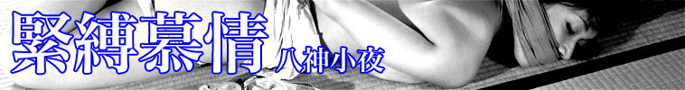 緊縛慕情 八神小夜