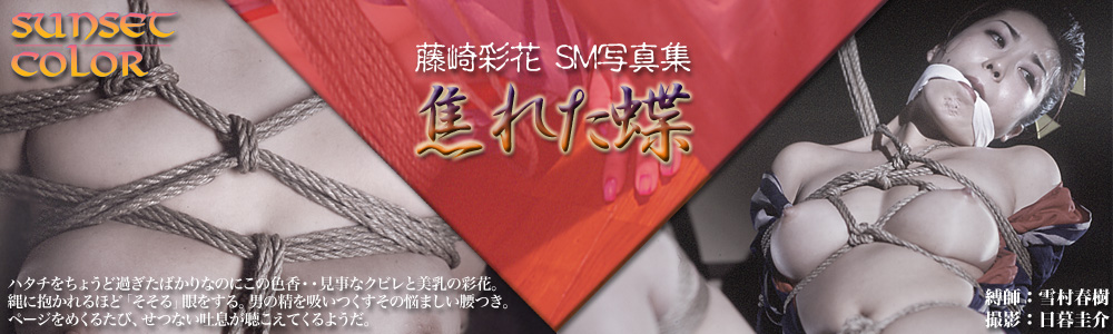 ʉ SMʐ^W@łꂽ