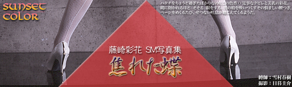 ʉ SMʐ^W@łꂽ