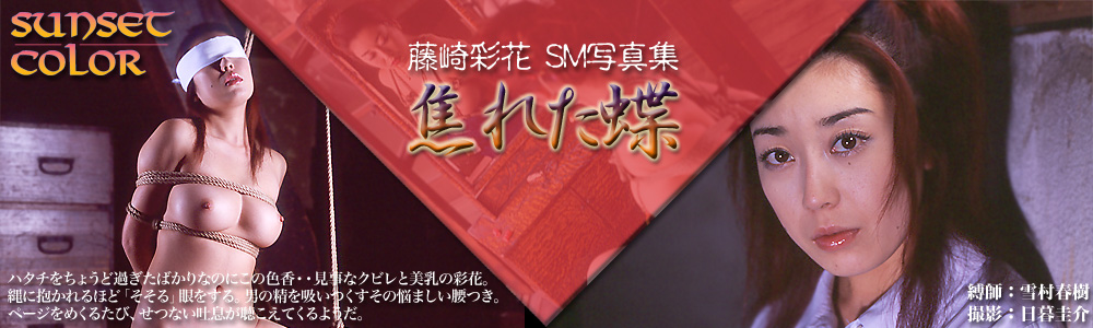 ʉ SMʐ^W@łꂽ