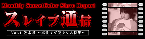 スレイブ通信 Vol.1 笠木忍