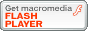 FLASH͂炩_E[hĂB