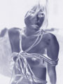 ᑺt̋ٔ P v̕CicFbj 021