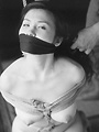 ᑺt̋ٔ U ܖYi삩Ấj 011