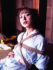 ᑺL ̓ PC 003