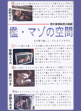 pbP[W摜