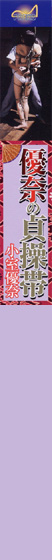 Dނ̒呀 D