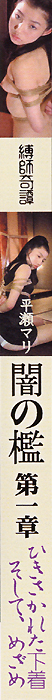 J Vol.7F}