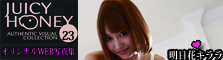 The Trading Photos Card - Juicy Honey LINGERIE SPECIAL Kirara Asuka