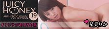The Trading Photos Card - Juicy Honey 19 Rika Hoshimi